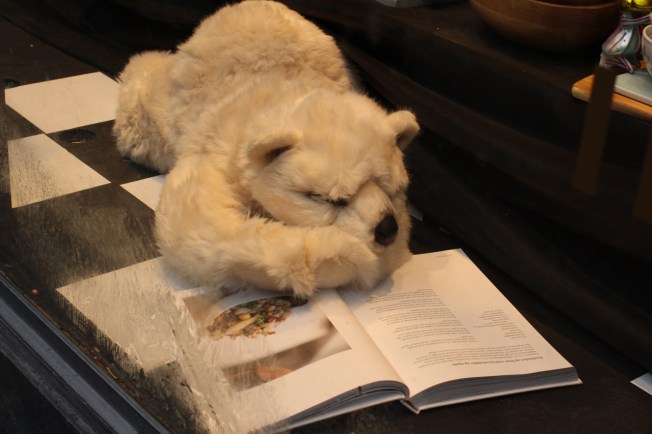 IMG_1396 bjørn som leser